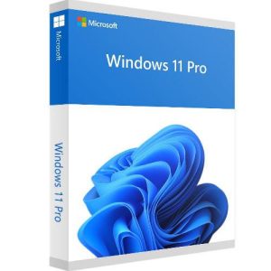 Microsoft Windows 11 Pro License (Lifetime)